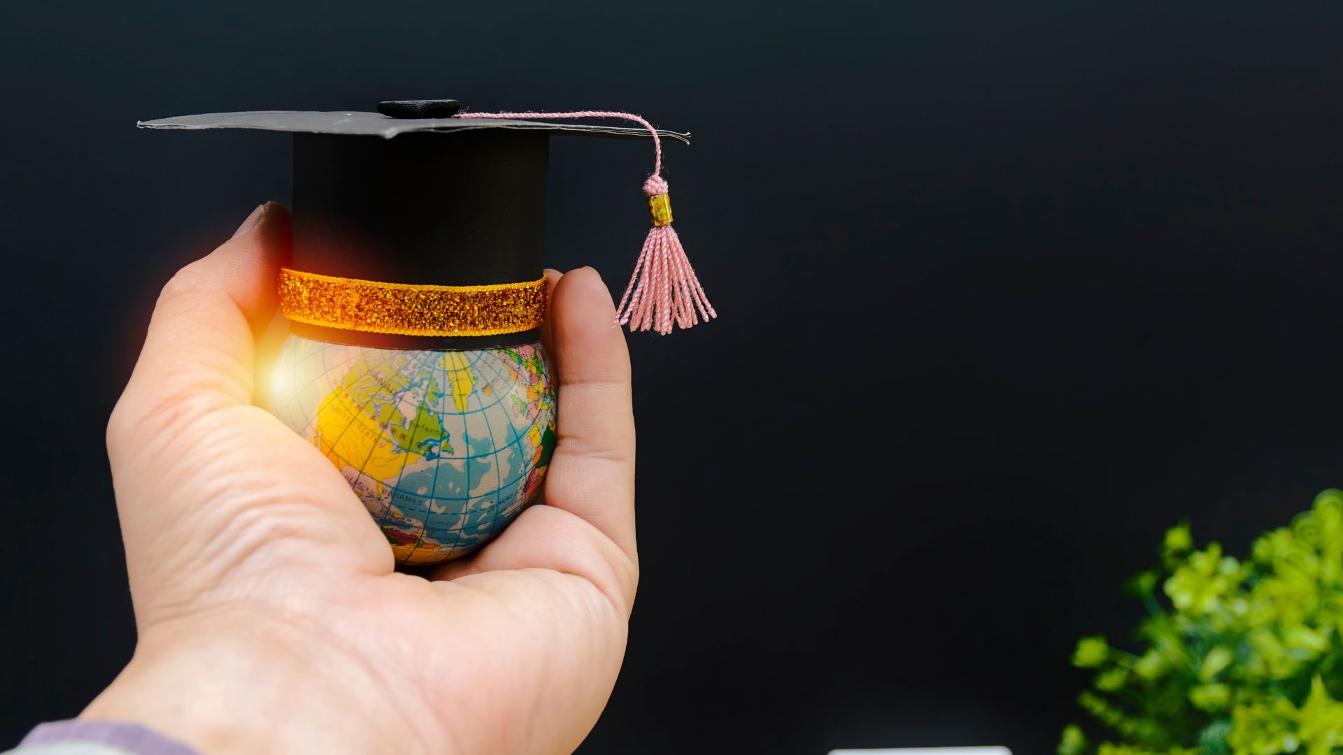 AGRICULTURE EDUCATION SERVICES AND TECHNOLOGY visual data 4