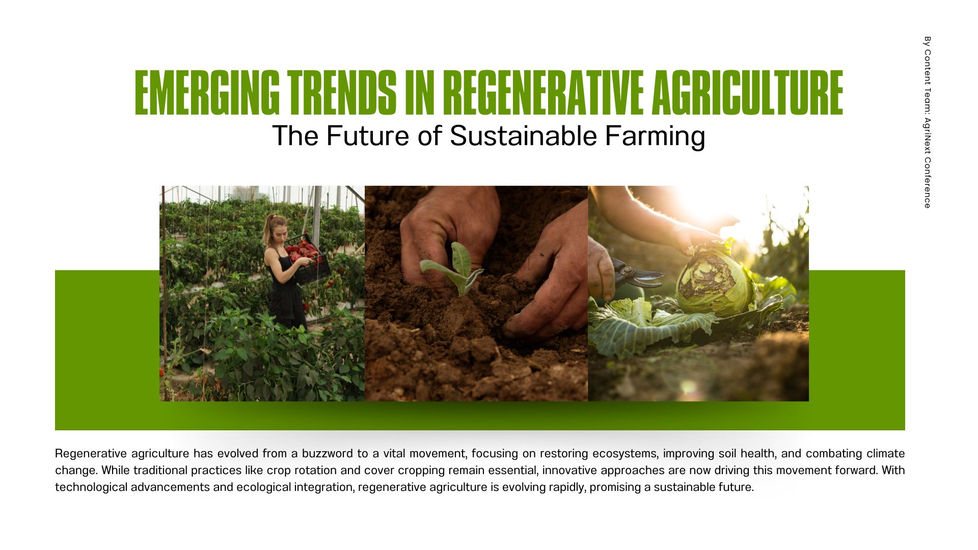 Emerging Trends in Regenerative Agriculture: The Future of Sustainable Farming