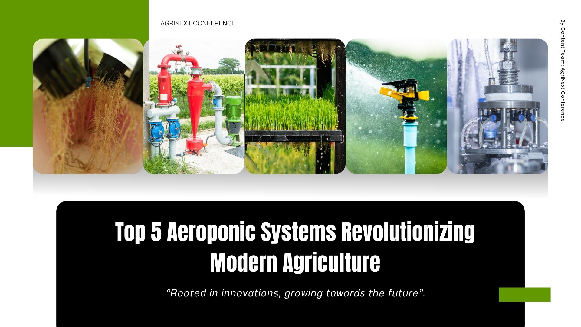 Top 5 Aeroponic Systems Revolutionizing Modern Agriculture