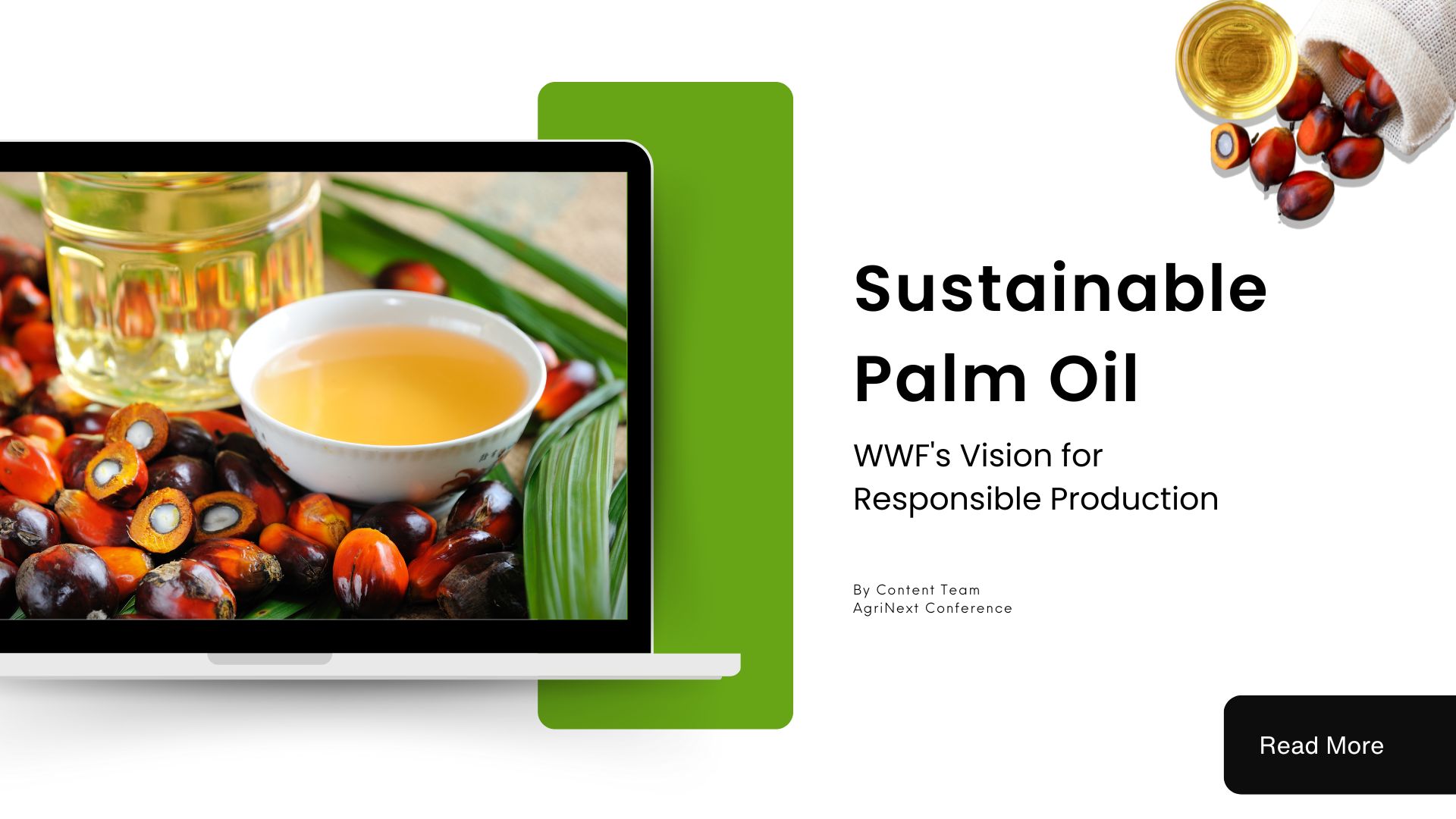 Sustainable Palm Oil: WWF’s Vision for Responsible Production