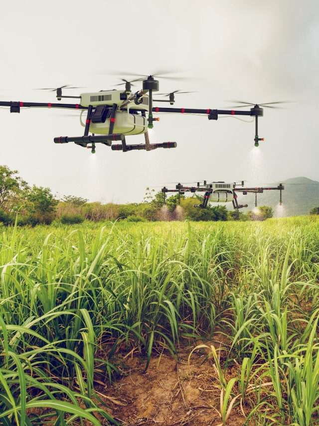 Sowing the Seeds of Innovation: Top Agriculture Conferences in the UAE 2025