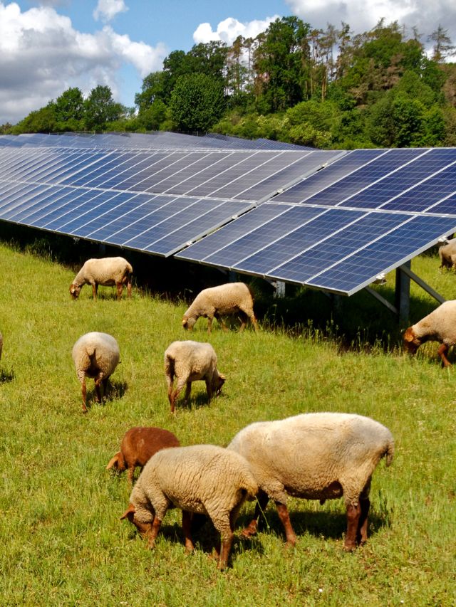 “Cultivating Capital: Top Investor Events Shaping the Future of Agriculture”