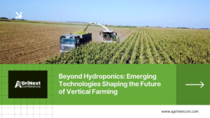 Vertical Farming Innovation: Beyond Hydroponics—Emerging Technologies Shaping the Future