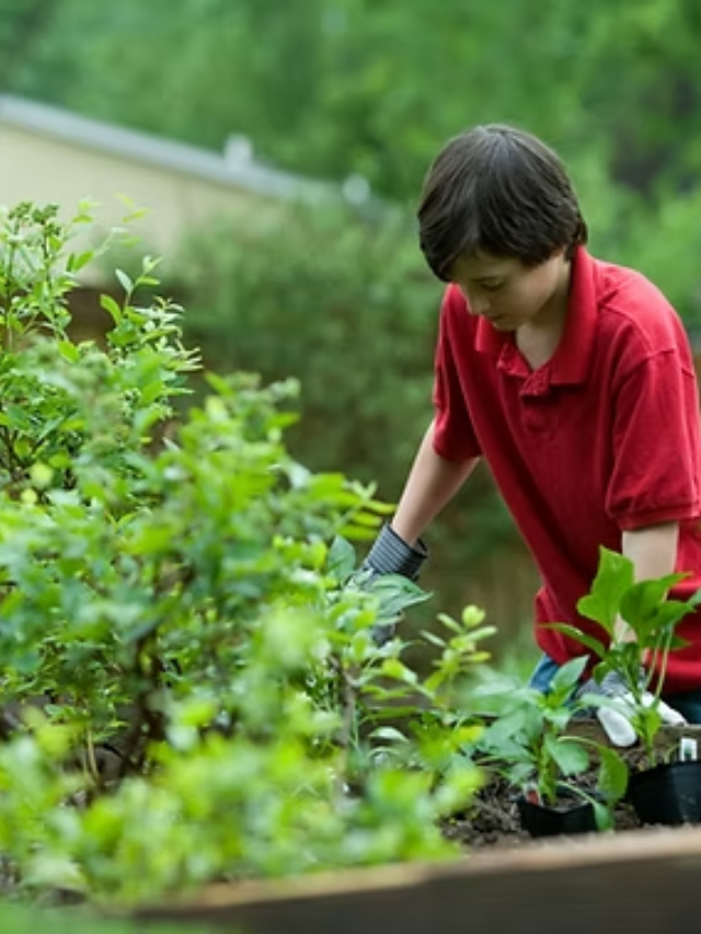 “Resilient Roots: Advancing Sustainable Agriculture in a Changing Climate”