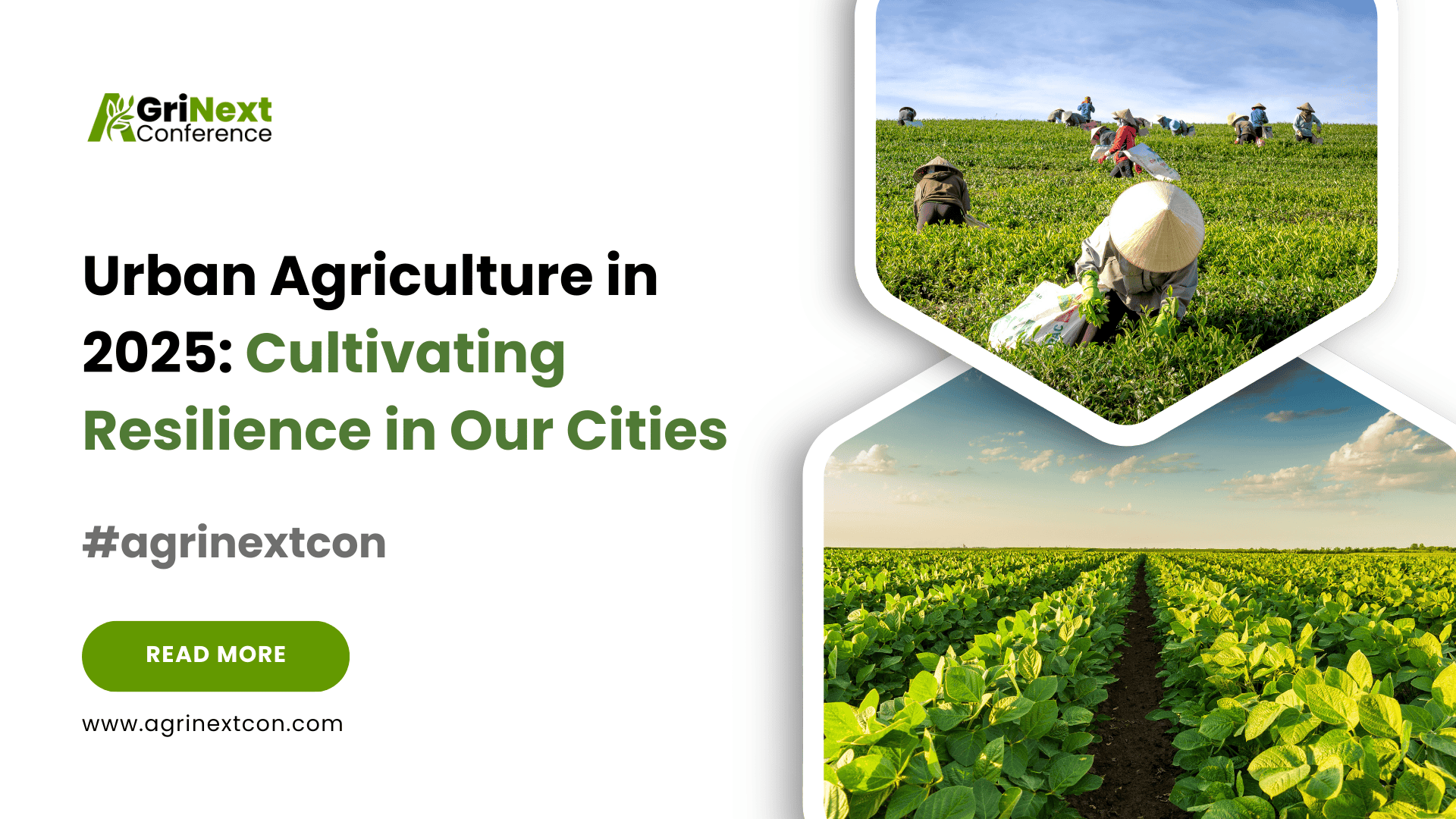 Urban Agriculture in 2025: Cultivating Resilience in Our Cities