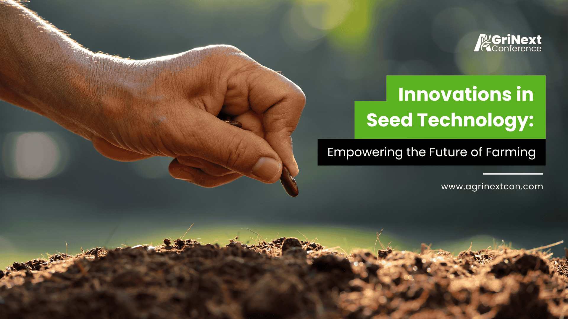 Innovations in Seed Technology: Empowering the Future of Farming