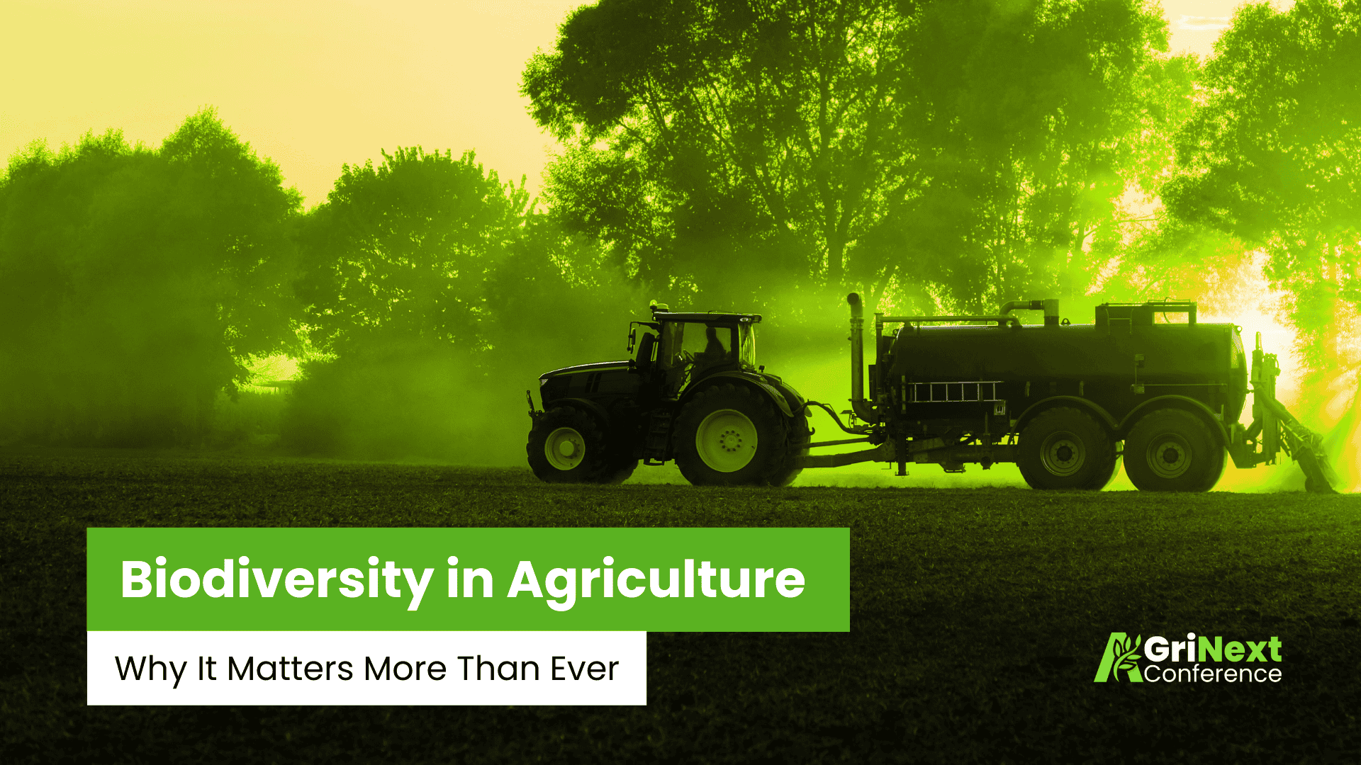 Biodiversity in Agriculture: Why It Matters More Than Ever
