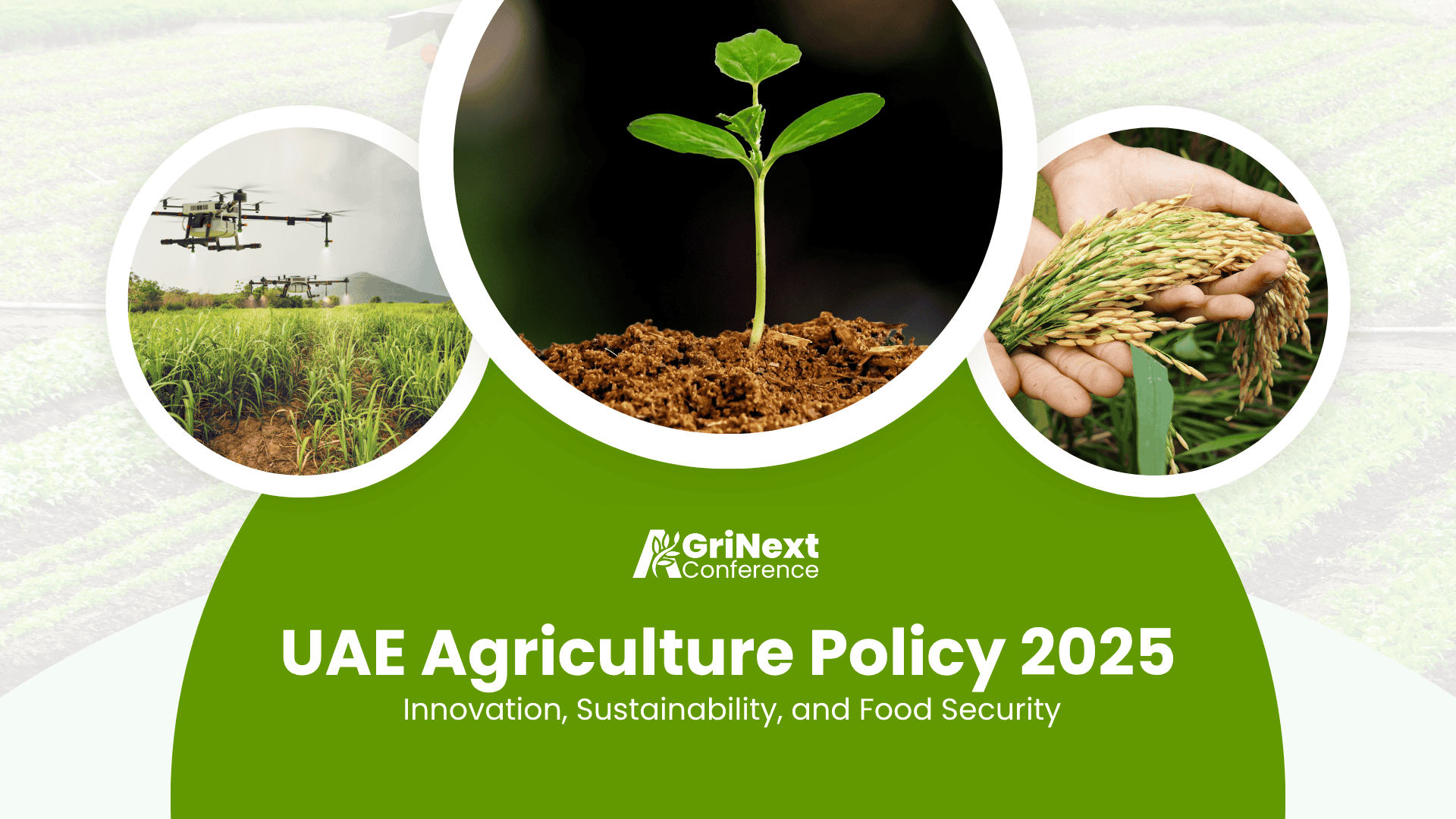 UAE Agriculture Policy 2025: Innovation, Sustainability, and Food Security