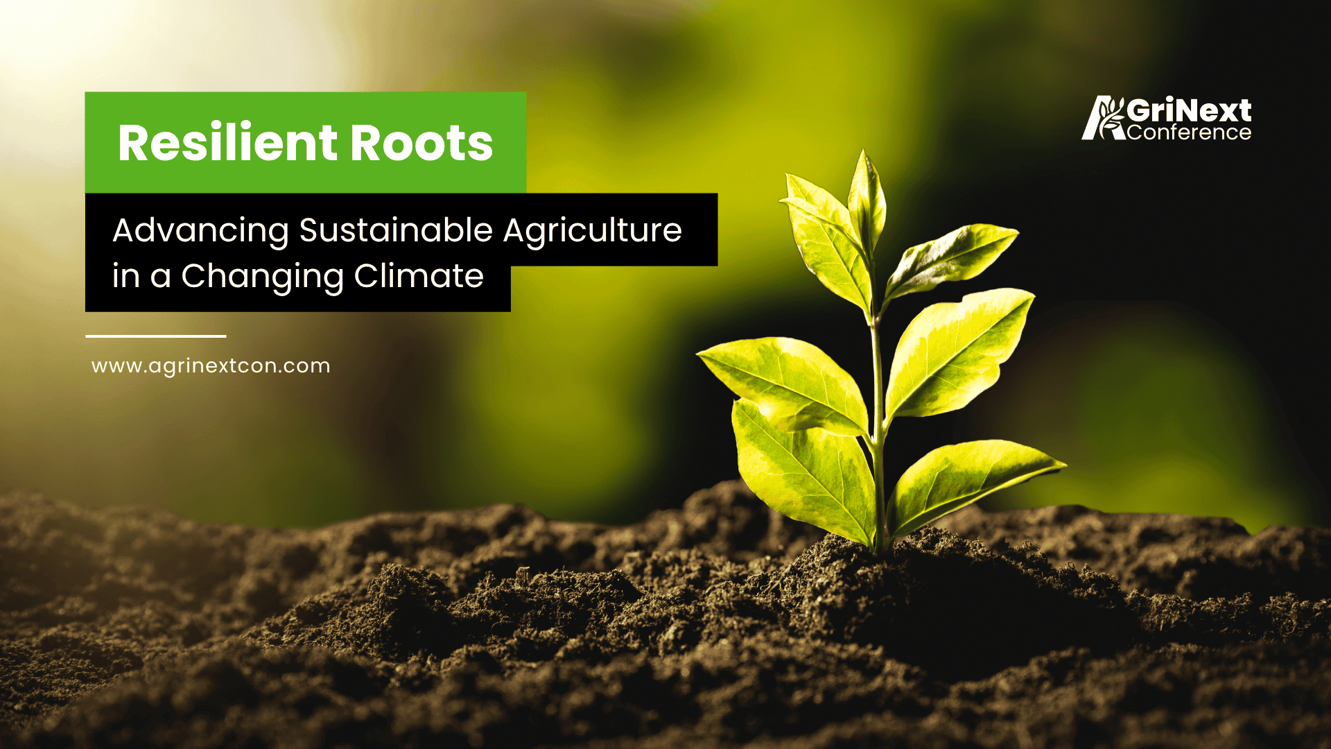 Resilient Roots: Advancing Sustainable Agriculture in a Changing Climate