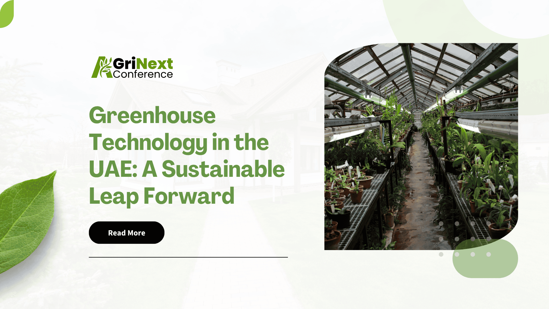 Greenhouse Technology in the UAE: A Sustainable Leap Forward