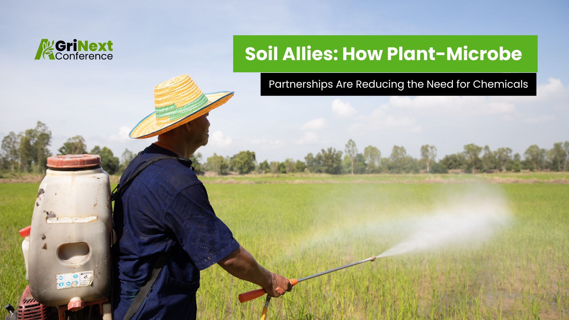 Soil Allies: How Plant-Microbe Partnerships Are Reducing the Need for Chemicals