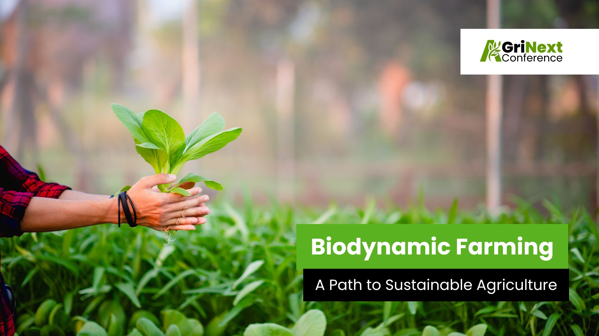 Biodynamic Farming: A Path to Sustainable Agriculture
