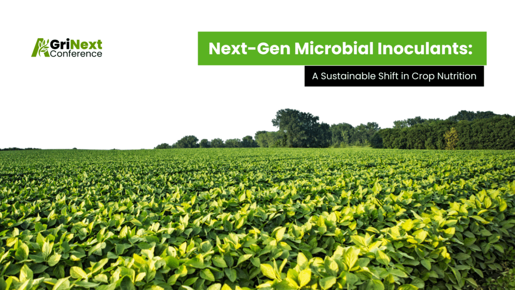 Next-Gen Microbial Inoculants: A Sustainable Shift in Crop Nutrition