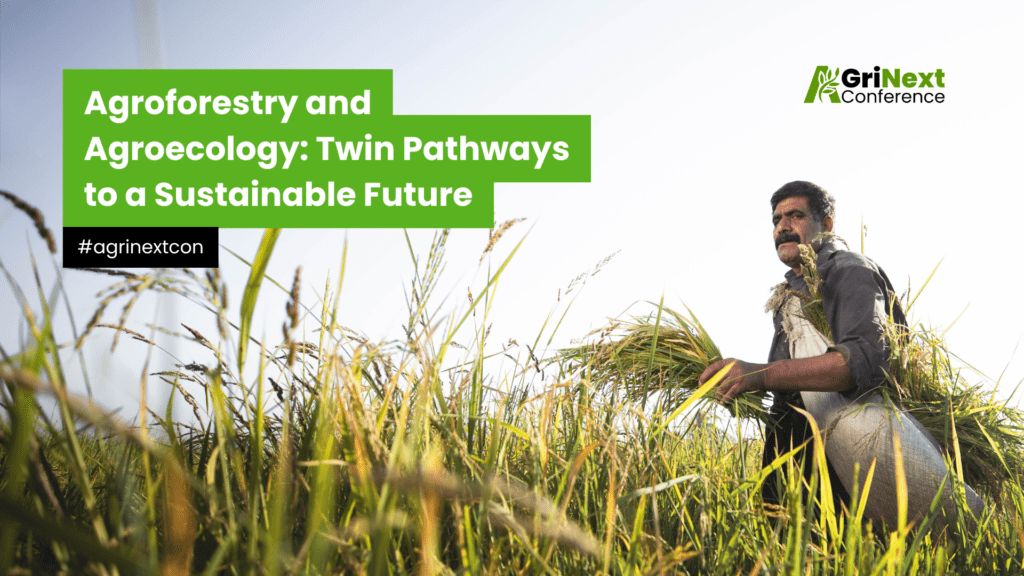 Agroforestry and Agroecology: Twin Pathways to a Sustainable Future