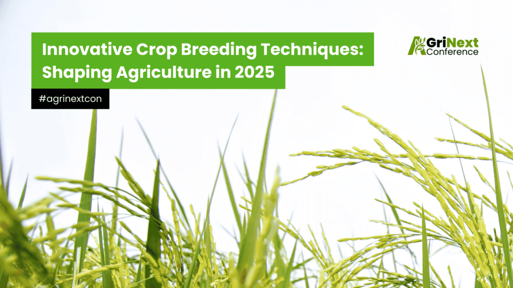 Innovative Crop Breeding Techniques: Shaping Agriculture in 2025