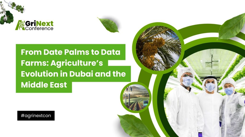 From Date Palms to Data Farms: Agriculture’s Evolution in Dubai and the Middle East