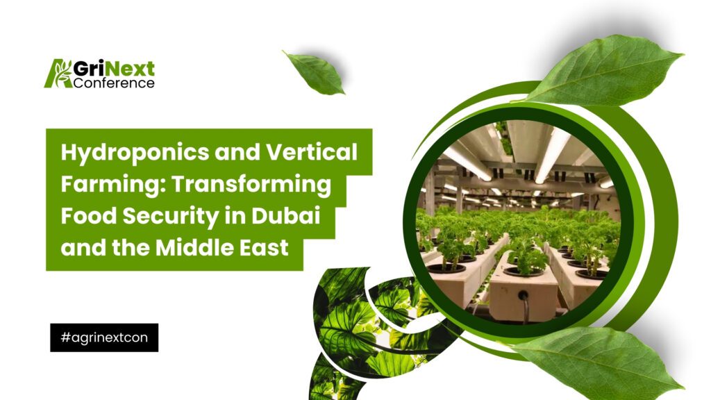 Hydroponics and Vertical Farming: Transforming Food Security in Dubai and the Middle East