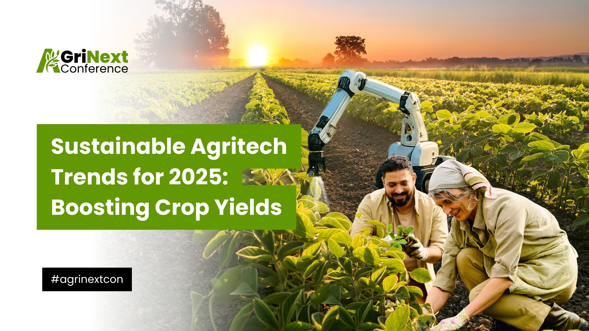 Sustainable Agritech Trends for 2025: Boosting Crop Yield