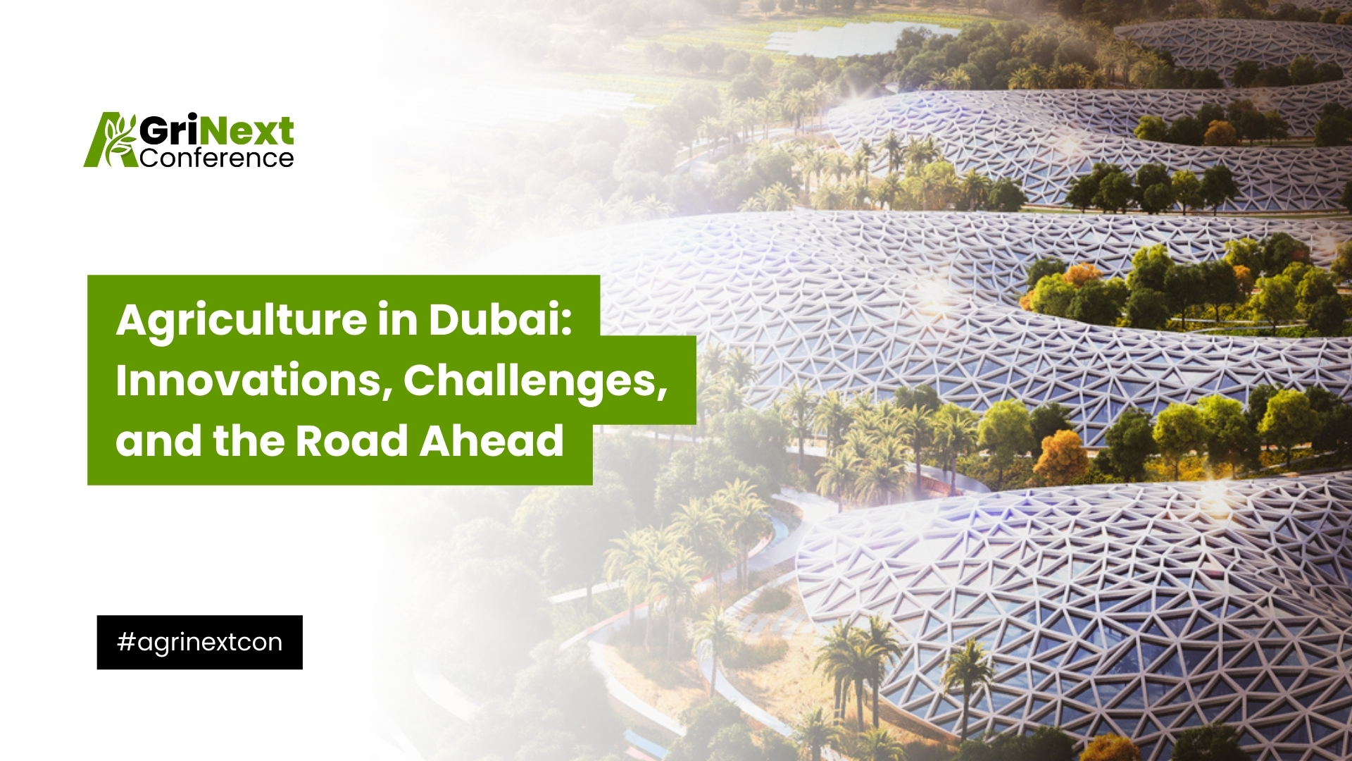 Agriculture in Dubai: Innovations, Challenges, and the Road Ahead