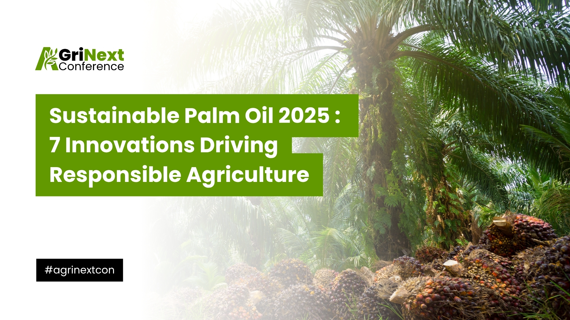 Sustainable Palm Oil 2025: 7 Innovations Driving Responsible Agriculture