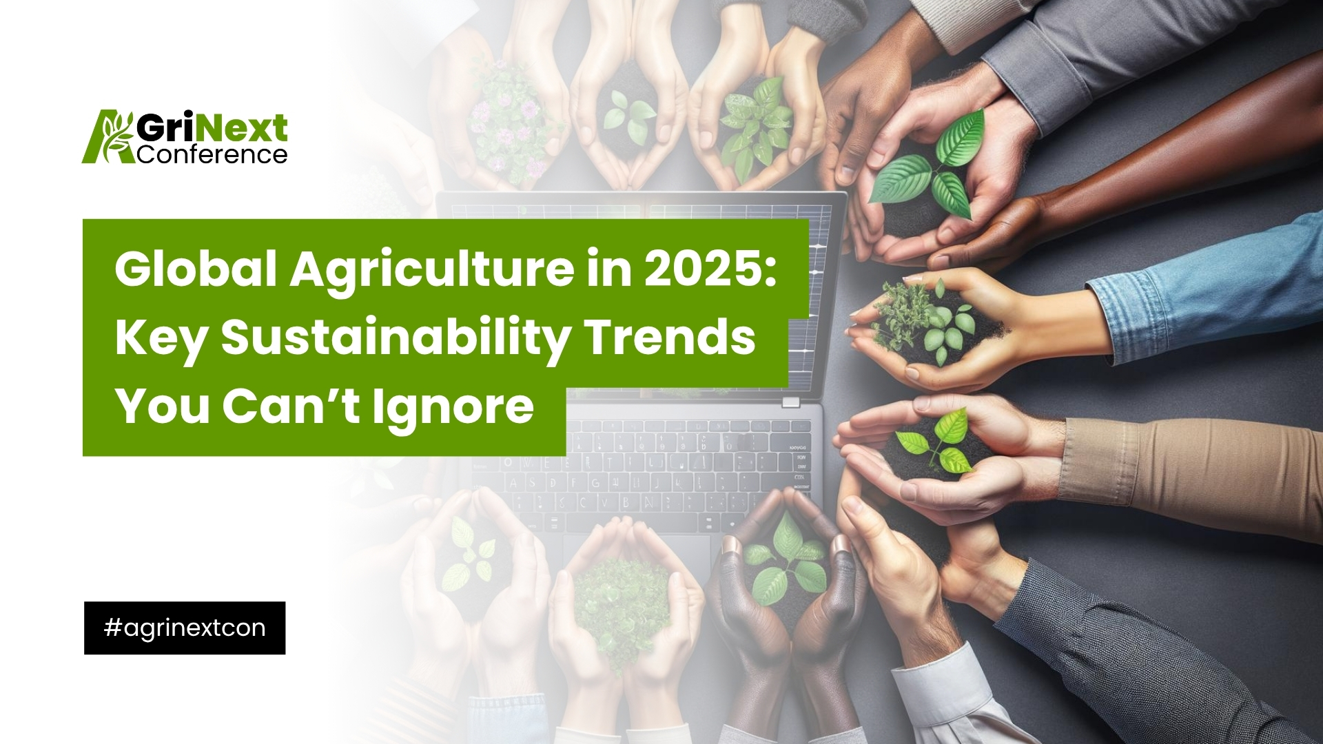 Global Agriculture in 2025: Key Sustainability Trends You Can’t Ignore