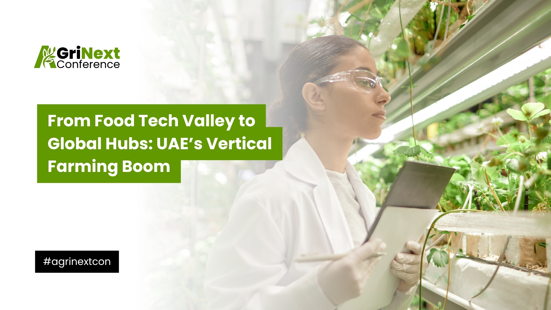 From Food Tech Valley to Global Hubs: UAE’s Vertical Farming Boom