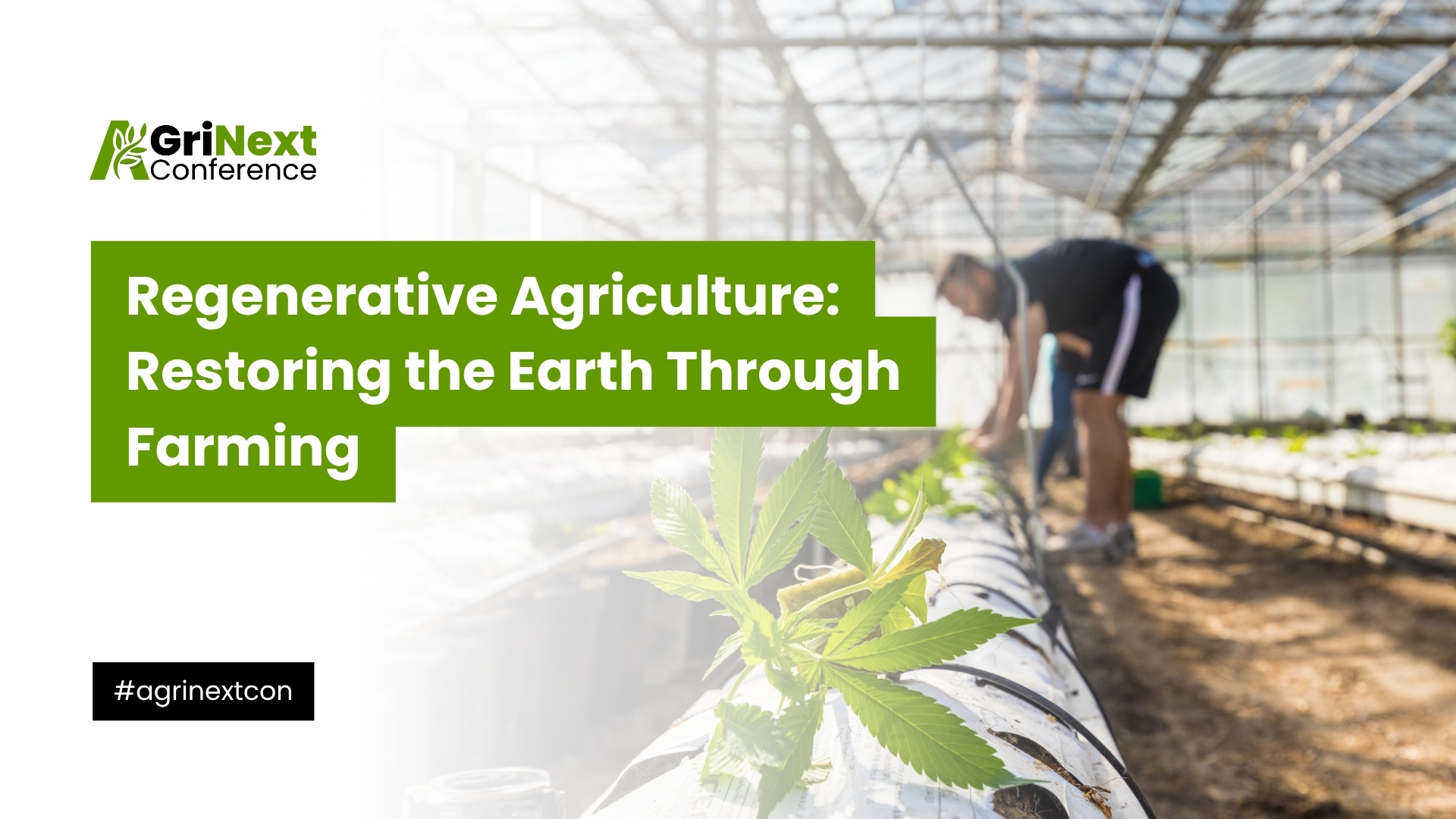 Regenerative Agriculture: Restoring the Earth Through Farming