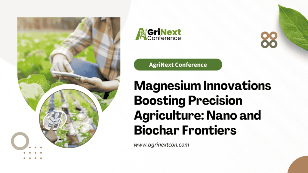 Magnesium Innovations Boosting Precision Agriculture: Nano and Biochar Frontiers