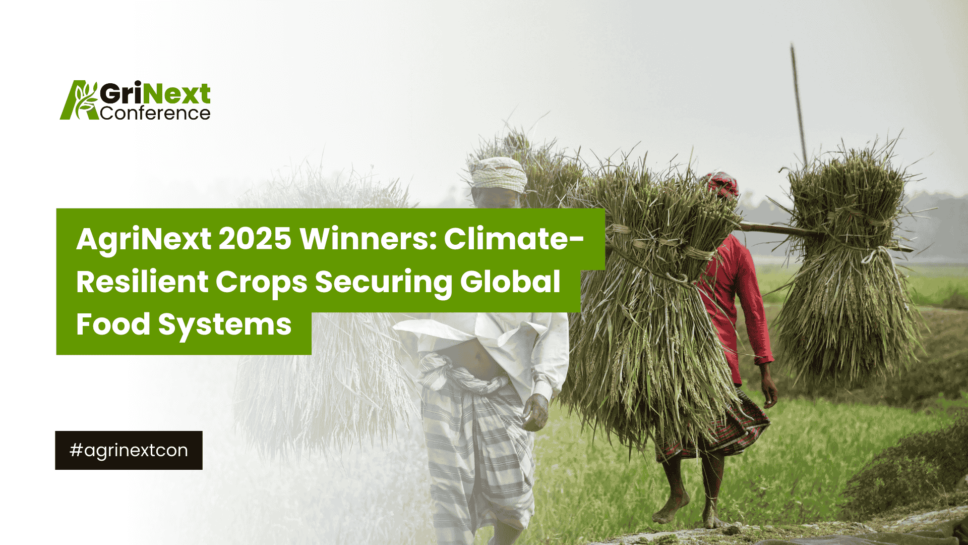 AgriNext 2025 Winners: Climate-Resilient Crops Securing Global Food Systems