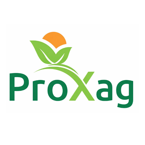 Untitled design(120)