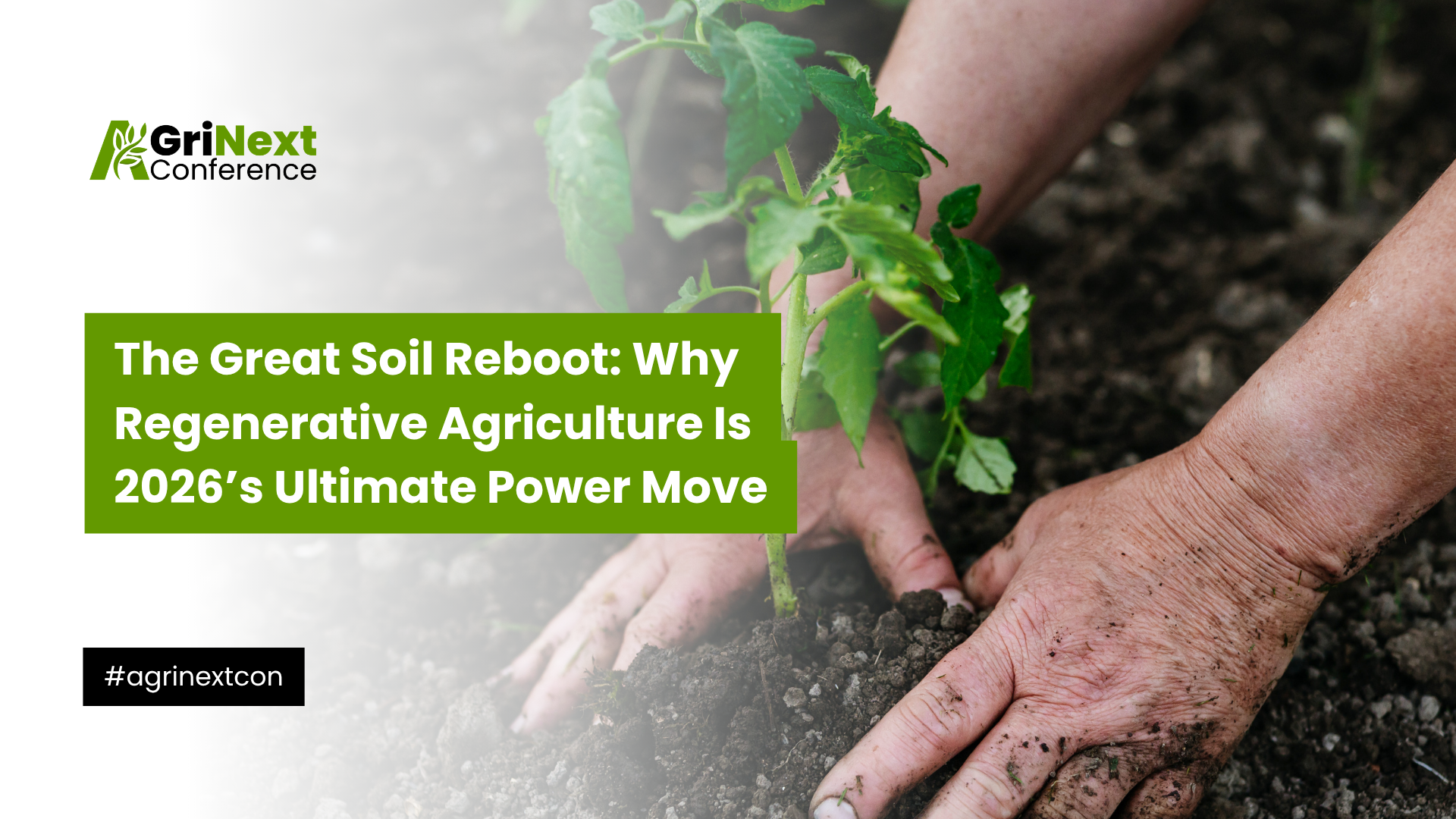 The Great Soil Reboot: Why Regenerative Agriculture Is 2026’s Ultimate Power Move